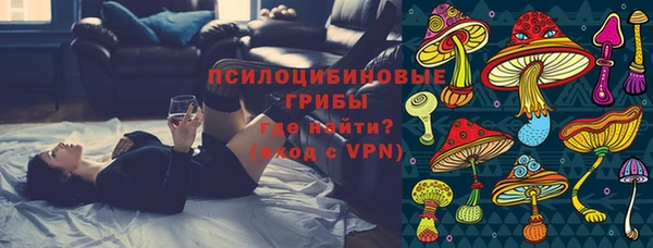 молекула духа Алзамай