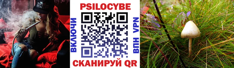 продажа наркотиков  Петров Вал  Псилоцибиновые грибы мухоморы 